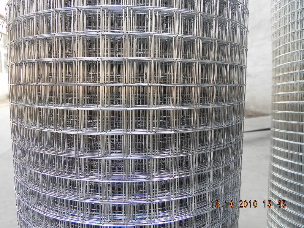 galvanized welded wire mesh