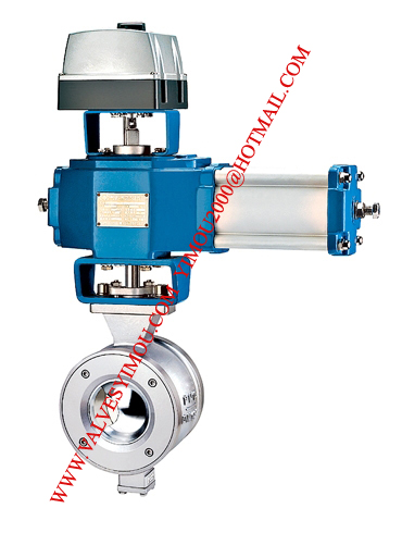 segment ball valve