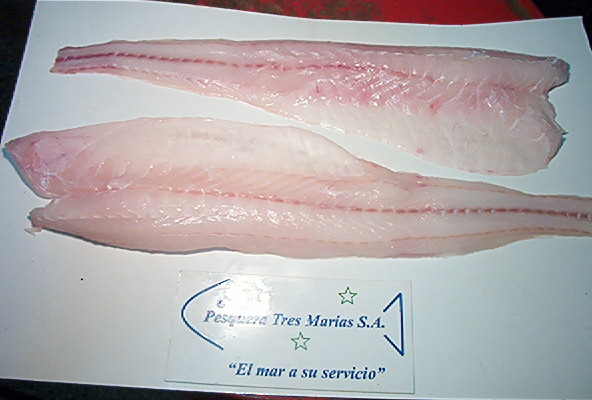 HAKE HUBBSI FROM ARGENTINA