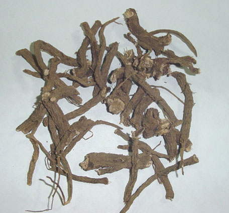Coleus Forscohlii root extract