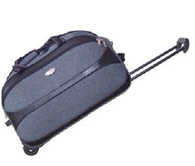 Trolley Bag