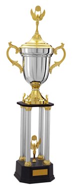 Victor's Trophy