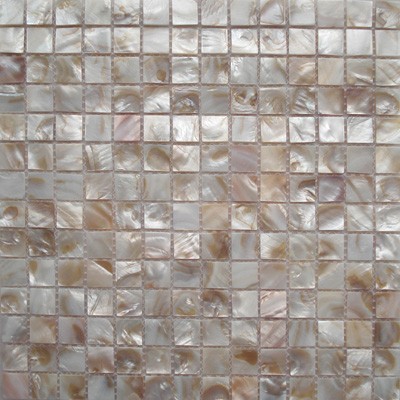 Fresh water shell mosaic