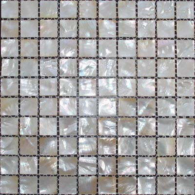 White butterfly shell mosaic net shape