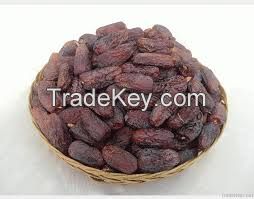 Fresh and Dry Dates