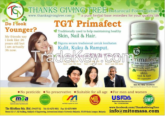 Primafect ( Thanks Giving Tree )