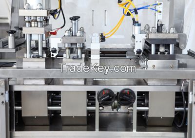 DPP-250P/350P Blister packing machine are widely used for syringe , via