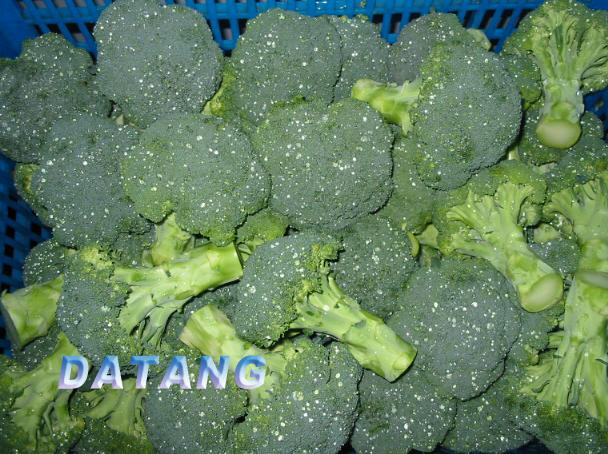 Frozen Broccoli