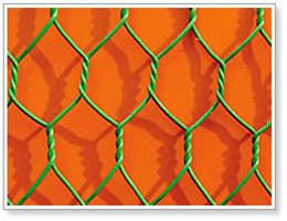 Hexagonal wire netting