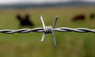 Straight & Reverse Twisted Barbed Wire