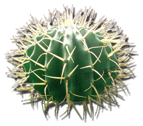 Ball Cactus art antenna (decorate antenna)