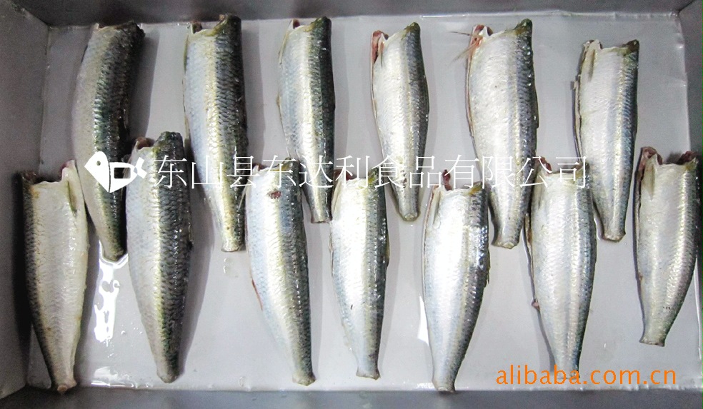 sardine(cut head , tail , gut and scale)