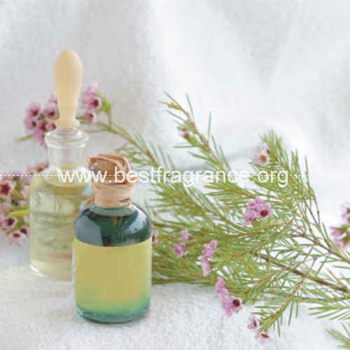 perfumes and fragrances oil