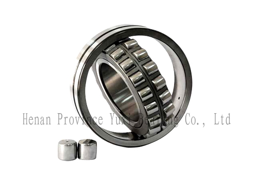 Special Bearing for Shaker