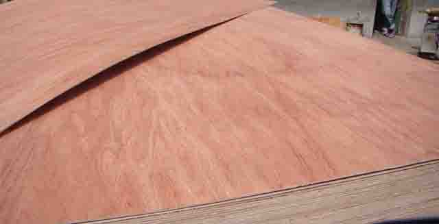 bintangor face and back, poplar core plywood (bintangor plywood)