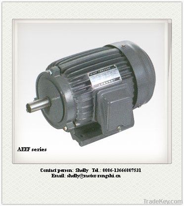 AEEF Three Phase Asynchronous Electric Motor