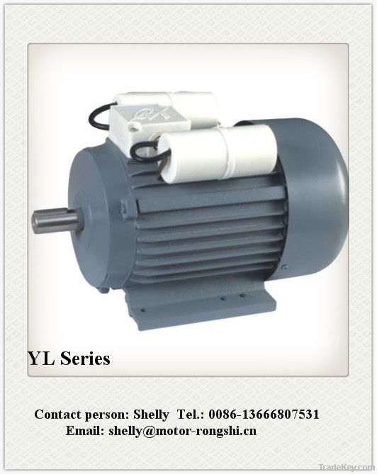 Single Phase Two -value Capacitor Asynchronous Electric Motor YL Serie