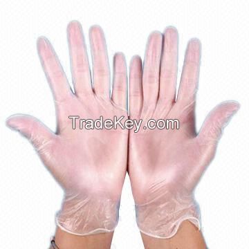 Ambitex Disposable Vinyl Exam Gloves Powder Free