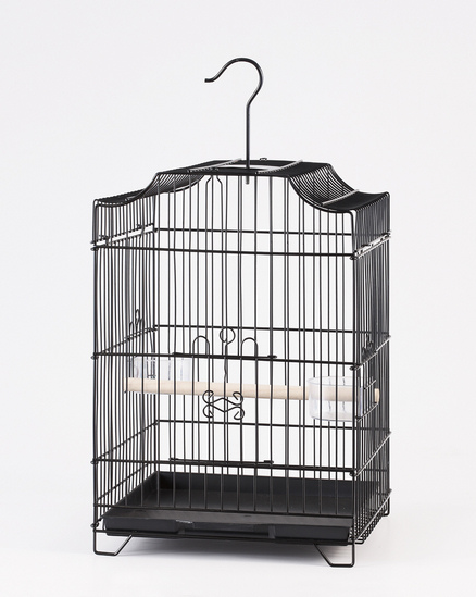 small bird cage 1000