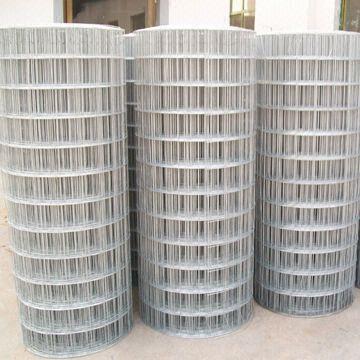 Welded wire mesh