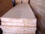 Paulownia Lumber Board