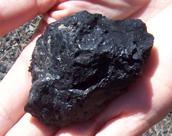 steam coal