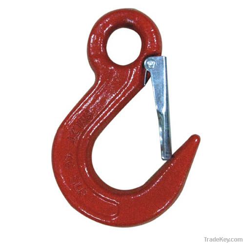 Eye sling hook with latch