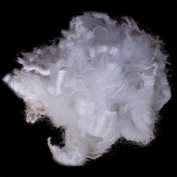 polyester fibre