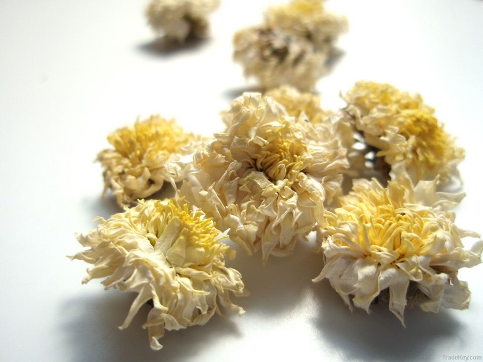 Huai Chrysanthemum
