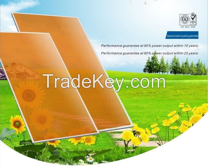 TUV Certified 20% Transparency Thin Film Solar Panels for BIPV, BAPV      Greenhouse