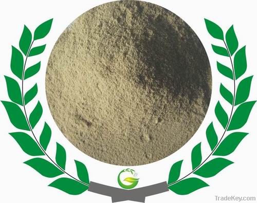Amino Acid Soluble Powder 60%