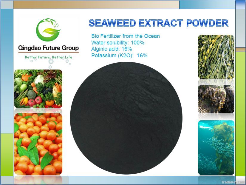 100% Soluble Seaweed Extract