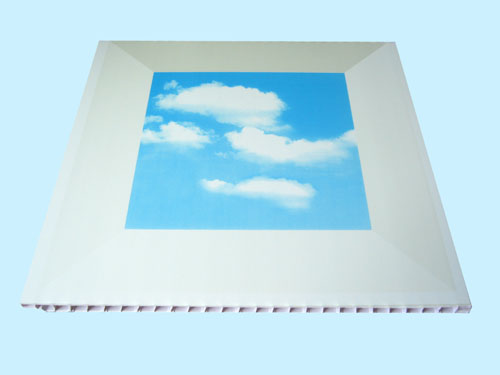PVC WALL AND CEILING PANELS