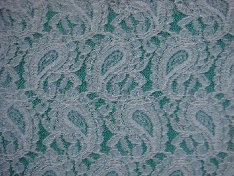 lace, lace fabric#093004