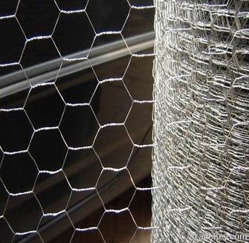 Electro galvanized Chicken wire mesh