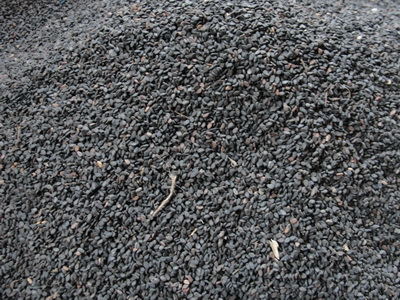 Black Sesame Seeds