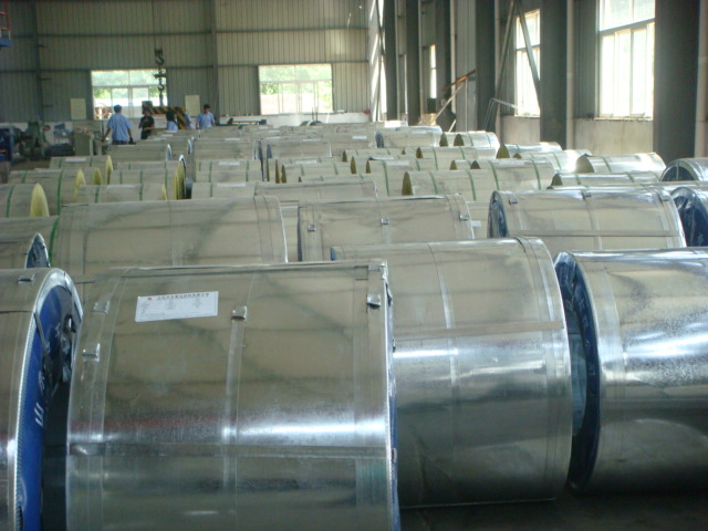 Prepainted Galvanized steel coils