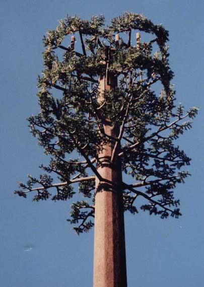 Camouflaged telecommunication Steel Tube tower