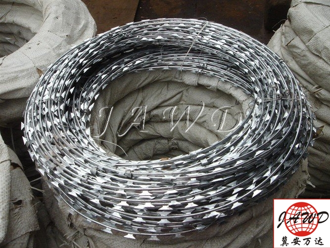 Concertina Razor Wire