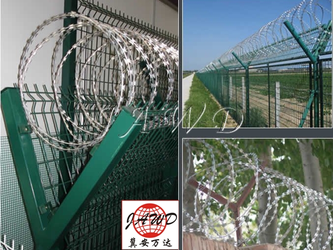 Concertina Razor Wire