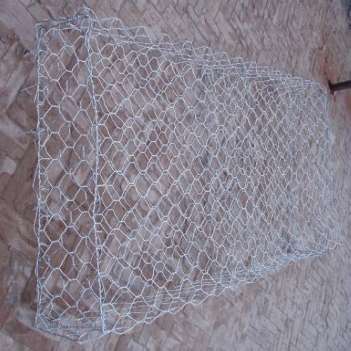 hot dipped galvanized chicken wire netting