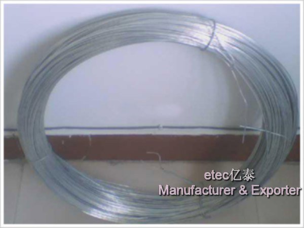 Electro / Hot-dipped Galvanized Iron Wire (Manufacturer)