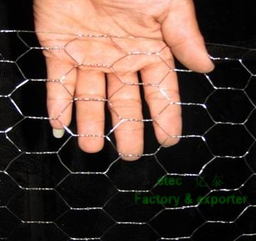 Galvanized/PVC coated hexagonal wire mesh (chicken wire mesh) Manufact