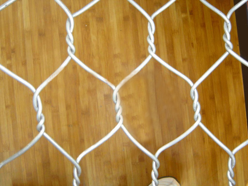 Galvanized/PVC coated hexagonal wire mesh (chicken wire mesh) Manufact