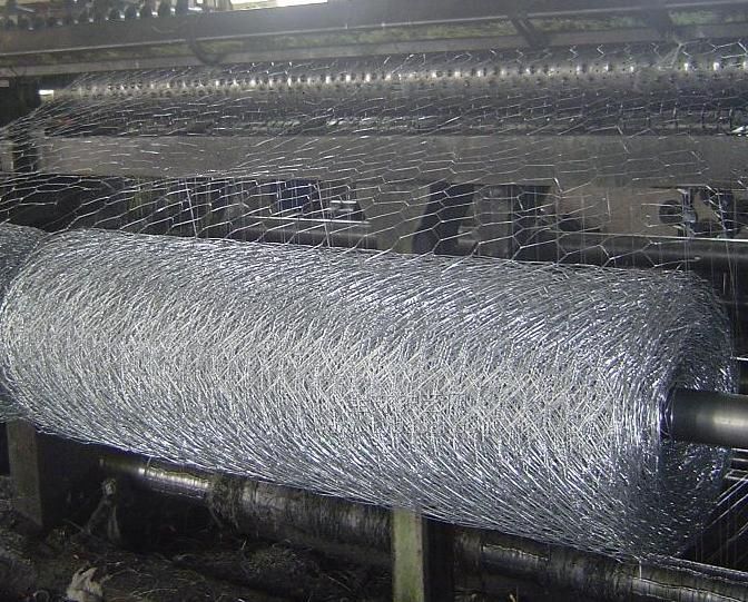 Galvanized/PVC coated hexagonal wire mesh (chicken wire mesh) Manufact