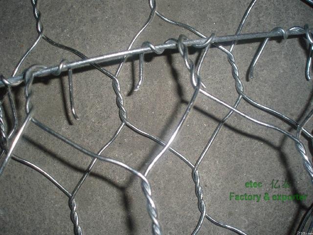 Galvanized/PVC coated hexagonal wire mesh (chicken wire mesh) Manufact