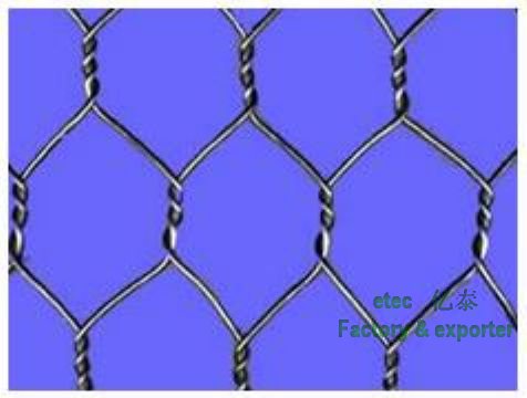 Galvanized/PVC coated hexagonal wire mesh (chicken wire mesh) Manufact