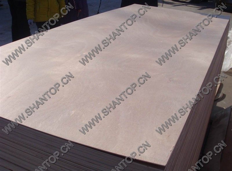 film faced plywood 1220*2440mm