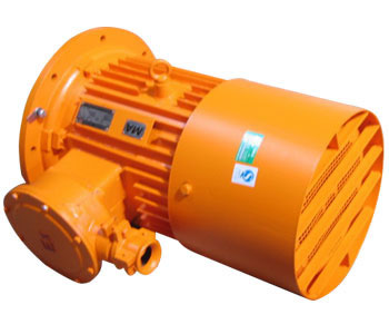 DSB range of flameproof three-phase induction motors for conveyor