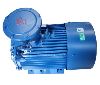 Explosion-proof Three-phase Induction Motor